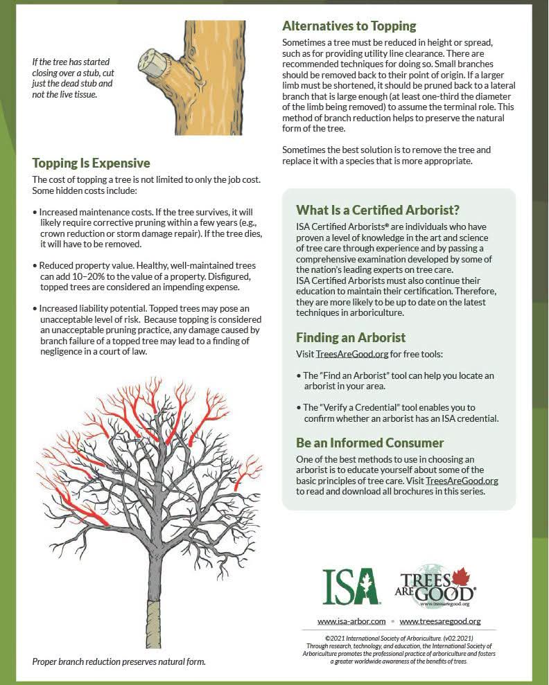 ISA guide: alternatives to topping, the cost of topping, and what a Certified Arborist is